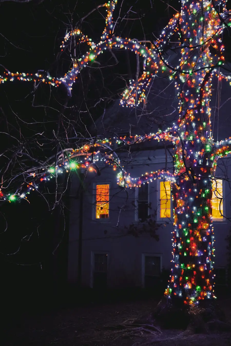 Christmas Light Installers in Fredericksburg: How to Vet a Company Before You Hire